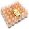 Bandeja plástica conveniente de la incubadora del huevo del transporte del cartón del huevo del PVC de 8pcs 0.7m m