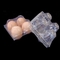 huevo cuadrado disponible Tray Holder de la bandeja 71m m del huevo del plástico transparente del ANIMAL DOMÉSTICO 15packs