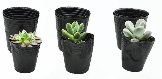 Potas de plantas de plástico blando hidropónico Cerezas de agua Potas de peso ligero