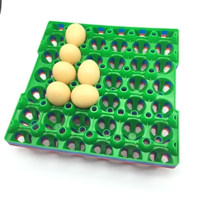 bandeja cuadrada plástica apilable del ajuste del huevo de la incubadora del tenedor 152m m del huevo 9pcs