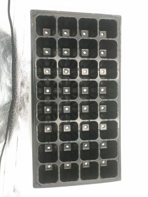 Bandeja de semillero de plástico de 32 celdas y 2 mm de espesor para árboles forestales - Resistente al envejecimiento y duradera