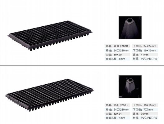 bandeja de semilla de plástico de 200 células - 2 mm de espesor y resistente al envejecimiento para la propagación de plantas duraderas