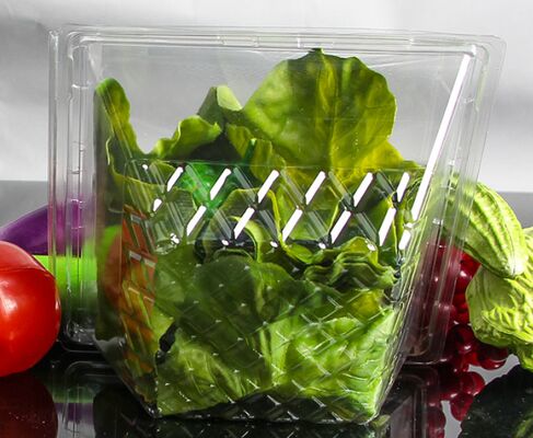 Caja PET Personalizable y Reciclable para Frutas y Verduras con Embalaje Transparente Termoformado