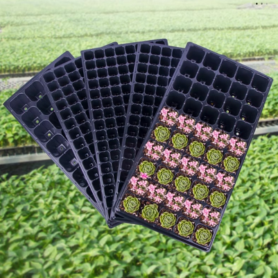 Envases para sembrar, envases para sembrar árboles forestales, envases para sembrar en profundidad, plántulas de plantas suculentas, verduras, envases de plástico para sembrar, envases para sembrar, envases para cultivar
