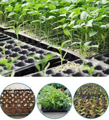 bandeja de semillas, bandejas de células, bandejas de plantadores, macetas de semillas, copas de semillas, cajas de semillas, todo para semillas multifuncionales y cultivo de semillas de verduras y brotes.