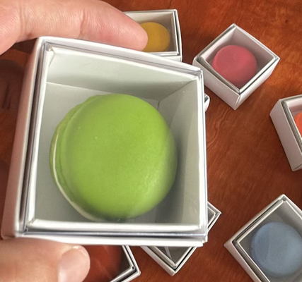 Eco-Friendly Macaron Plastic Tray with Custom Printing and Transparent Design for Food Packaging