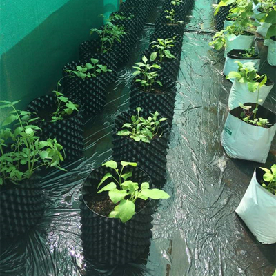 Nuevo diseño de macetas de plantación de flores de aire poda desechable maceta de raíz