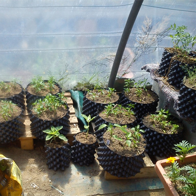 Nuevo diseño de macetas de plantación de flores de aire poda desechable maceta de raíz