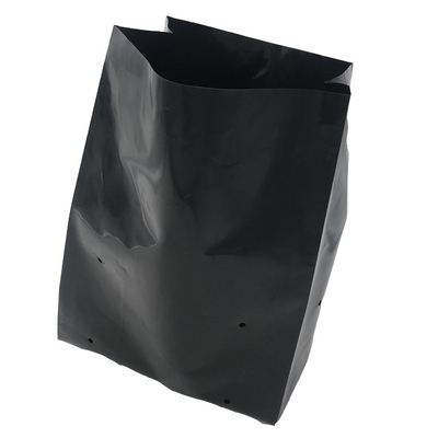 Sistema de cultivo hidropónico Bolsas de cultivo de plástico Bolsas de cultivo de flores de peonía generadas suaves