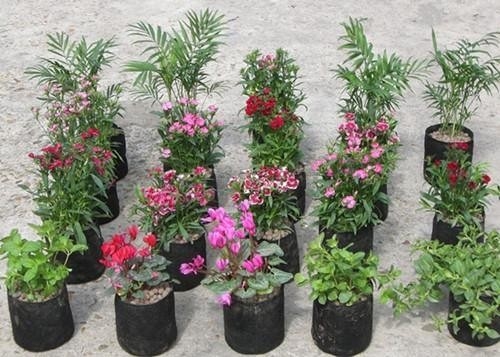 Sistema de cultivo hidropónico Bolsas de cultivo de plástico Bolsas de cultivo de flores de peonía generadas suaves