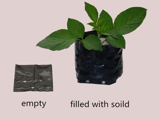 Sistema de cultivo hidropónico Bolsas de cultivo de plástico Bolsas de cultivo de flores de peonía generadas suaves