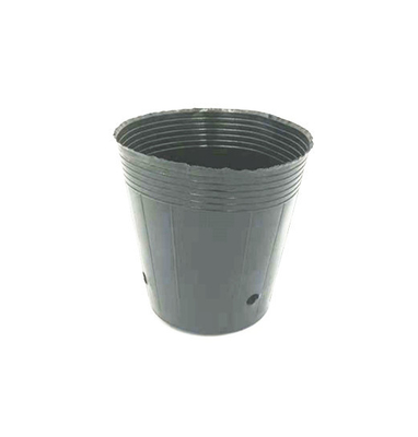 Potes de plástico cromados para semillas de orquídeas para cultivar macetas negras para invernaderos
