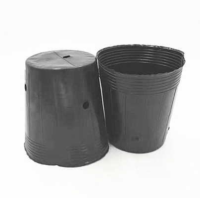 Potes de plástico de HDPE para crianza de semillas de cebolla cultivando macetas negras para invernaderos