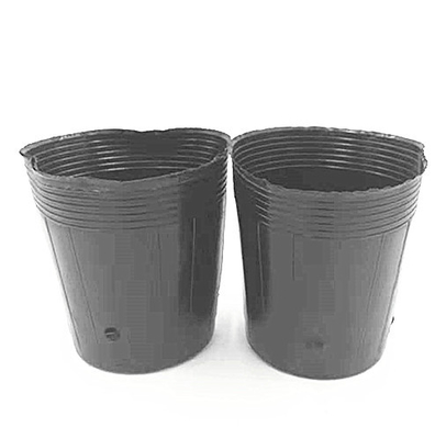 Potes de plástico de HDPE para crianza de semillas de cebolla cultivando macetas negras para invernaderos