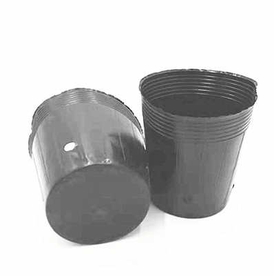 Potes de plástico de HDPE para crianza de semillas de cebolla cultivando macetas negras para invernaderos