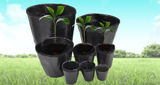 Potas de plantas de plástico blando hidropónico Cerezas de agua Potas de peso ligero