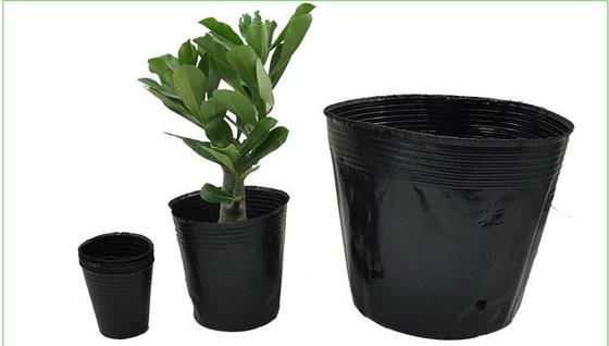 Potas de plantas de plástico blando hidropónico Cerezas de agua Potas de peso ligero