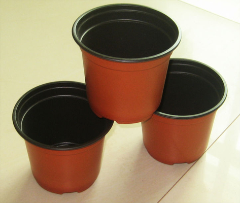 Venta caliente Caja redonda Blanda Hidropónica Fresca Florera Pot Resistente al envejecimiento