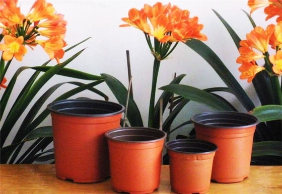 Venta caliente Caja redonda Blanda Hidropónica Fresca Florera Pot Resistente al envejecimiento