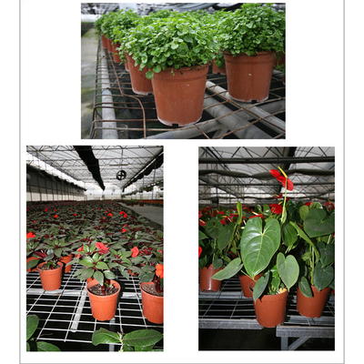 Luminoso y suave Negro de doble color Botes de flores de plástico Chive Shoot Sementes Pot Nutrición