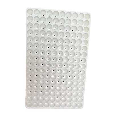 Envases para semillas de espuma de EPS no tóxicos Flores Frutas Árboles Envases para cultivo porosos 50 agujeros 120 agujeros 160 agujeros 200 agujeros
