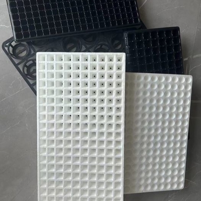 160 Cuadro de semillas con agujero Planta flotante de semillas Plantación de verduras Valor fijo Materiales medicinales flotantes Flue Cu