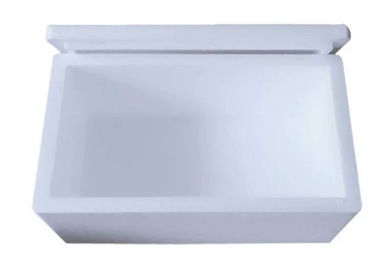 Preservación de calor Caja de espuma de transporte de cadena fría EPS EPP Tamaño del material Densidad personalizada