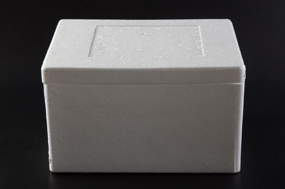Fabricantes Placa de espuma de EPS Blanco Expreso A prueba de golpes Hard Foam aislamiento aislamiento de espuma llena Paulilon