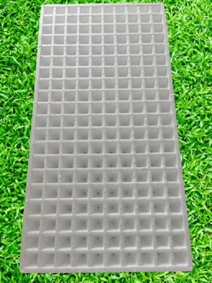 Envases de semillas de espuma Envases de semillas de vegetales Envases de semillas hidropónicas Envases de semillas de pimienta de espuma blanca Envases de semillas de pimienta de pimienta mayorista Envases flotantes de cartón de espuma de agua Envases de semillas de fruta y verdura espesa