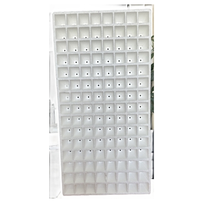 EPS duradero para el cultivo de flores y árboles frutales Placas de semilla de espuma Placas de semilla a prueba de agua