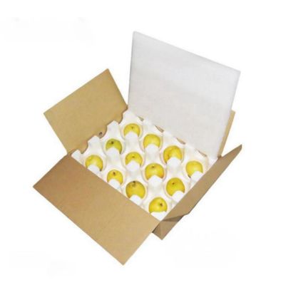 Protección de envoltura de burbujas EPS protección de envases de productos frágiles personalizada