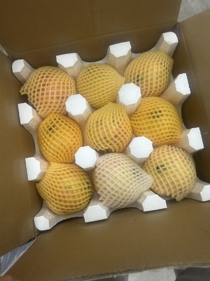 Protección por envoltura de burbujas EPS EPE EPP EVA productos frágiles Protección del embalaje de la cadena de frío