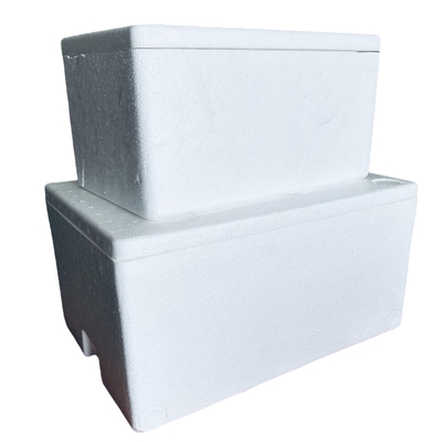 Incubadora de espuma EPS de cadena de frío Caja de transporte de personalización Resistencia sísmica