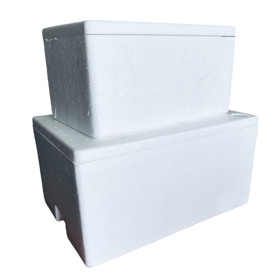 EPS incubadora de la cadena de frío de transporte de la caja de espuma de personalización