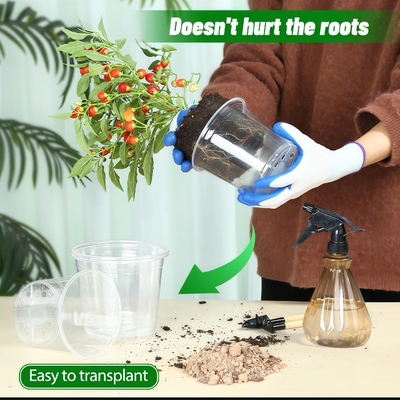 Pot de orquídeas transparente con un revestimiento resistente a los rayos UV