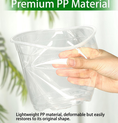 Pot de orquídeas transparente con un revestimiento resistente a los rayos UV