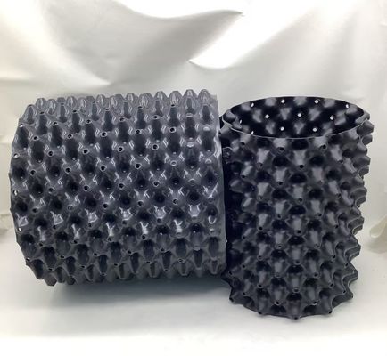 Maceta de control de raíces de HDPE