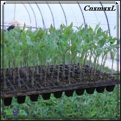 Bandeja de semillero de plástico de 2 mm de espesor con 32, 50, 98, 108, 118 y 200 celdas para árboles forestales - Resistente al envejecimiento y duradera