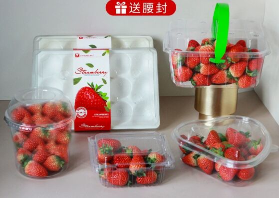 Customized Recyclable PET Tomato Packaging Box with Heat Sealing for Perfect Protection