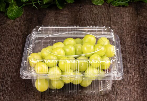 Customizable Recyclable PET Transparent Fruit Packaging Box with Heat Sealing for Grapes and Tomatoes