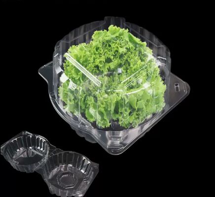 Caja de embalaje de frutas personalizable con PET reciclable y sellado térmico para una protección perfecta