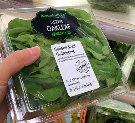 Diseño personalizado de embalaje blíster de plástico PET reciclable con sellado térmico para caja de embalaje de frutas