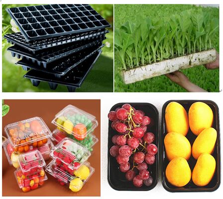 Caja de frutas transparente de PET reciclable de diseño personalizado con sellado térmico para envases de uva y tomate
