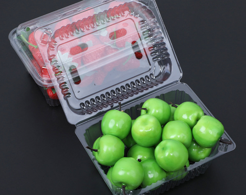Customized disposable fresh fruit cutting box with transparent lid and compartmentalized fruit packaging box made of PET fruit plastic packing box
