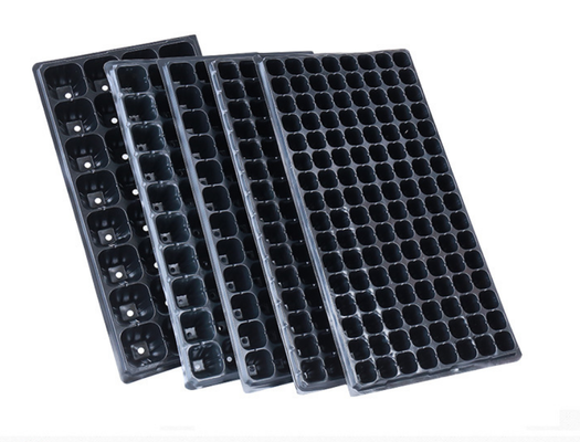 thickened seed tray,standard nursery tray,rigid plug tray,multiple cavity tray,uniform cell tray,flat seed starting tray,PS plastic seed tray,PVC nursery tray