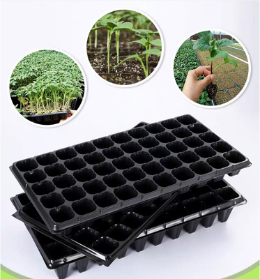 Envases para semillas de hortalizas de uso especial, envases para el cultivo de semillas, vasos para el cultivo de hortalizas, cajas de esquejes para la agricultura, envases agrícolas, envases para semillas de plástico