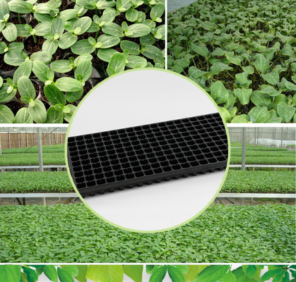 Bandeja de plántulas, bandeja de células, marco de soporte, bandeja de plántulas, bandeja de plántulas de chile, bandeja de plántulas, bandeja de plántulas para cultivo de plántulas, bandeja de maíz y sorgo ultragruesa, bandeja de plántulas espesada, ultradelgada