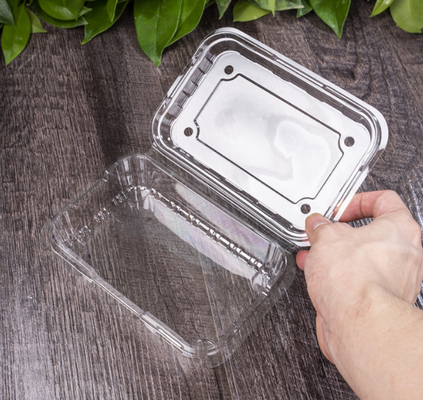 Produce envases en bandejas de frutas, cajas de envases de carne, cajas de envases de verduras, bandejas de plántulas, macetas de plástico, cajas de comida rápida, así como cajas transparentes de PVC, PP, PET y cajas impresas.