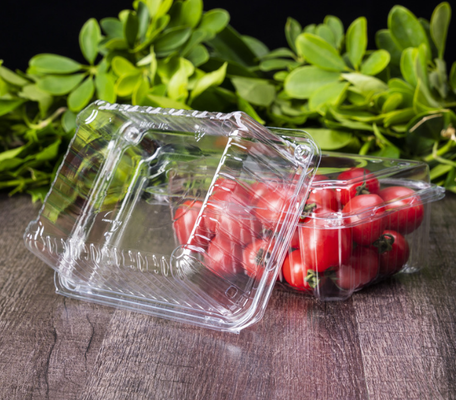 Cajas de frutas, cajas de envasado de carne, cajas de envasado de verduras, bandejas de plántulas, macetas de plástico, cajas de comida rápida, así como cajas transparentes de PVC, PP, PET y cajas impresas.