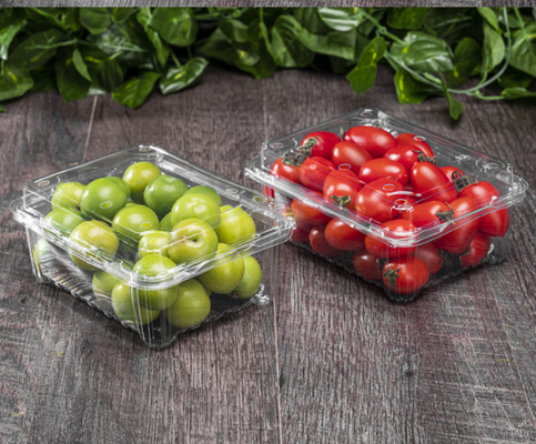 bandejas de frutas, cajas de envasado de carne, cajas de envasado de verduras, bandejas de plántulas, macetas de plástico, cajas de comida rápida, así como cajas transparentes de PVC, PP, PET y cajas impresas.